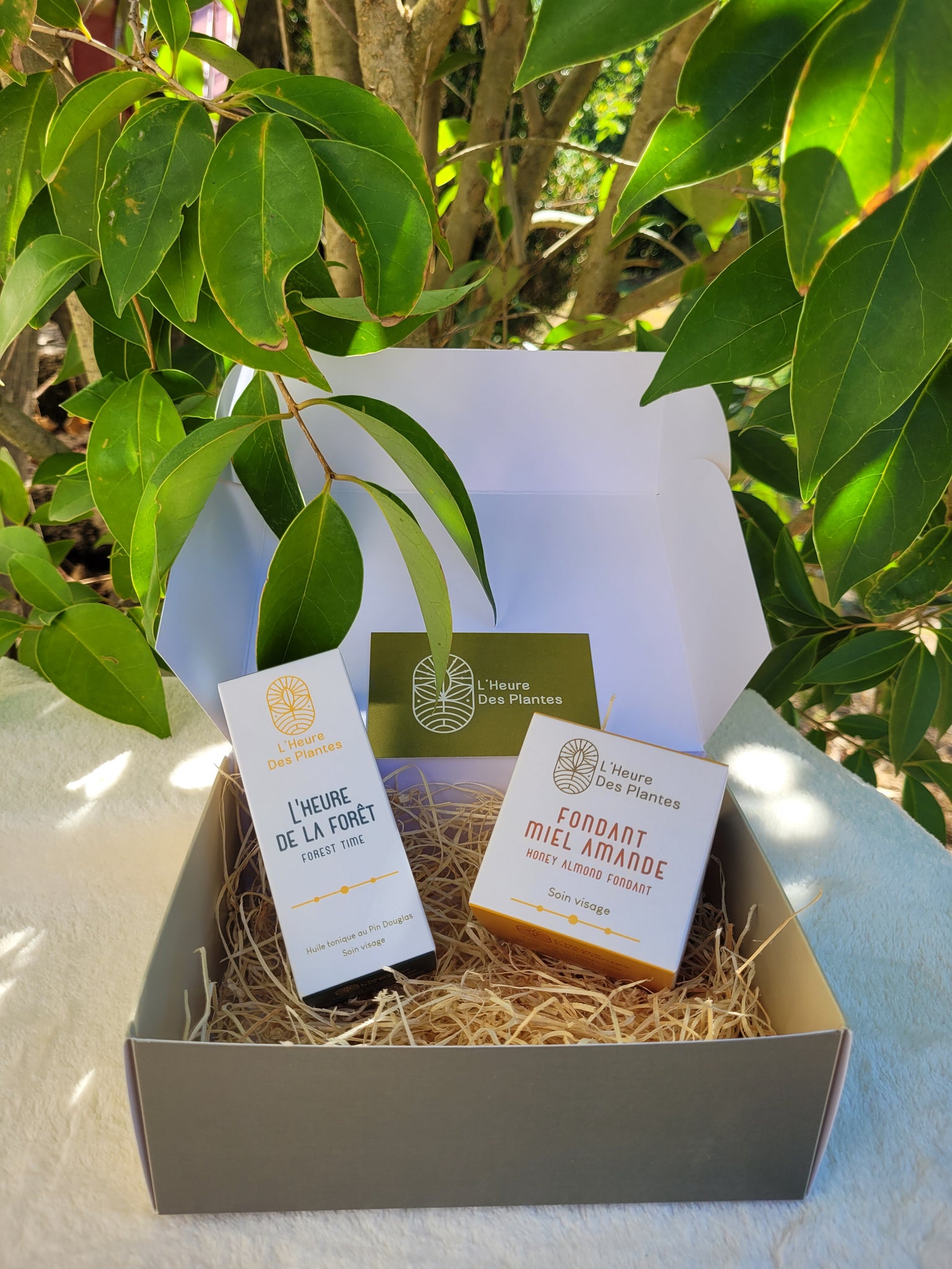 Coffret Duo L'heure de la forêt et flacon 50 ml au choix